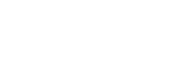 ppl-4